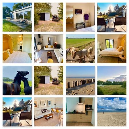 Natuurhuis Zeeuwse Rust Voor Wandelingen Aan Zee, Fietstochten In Natuur En Culinair Genieten IJzendijke Exterior foto