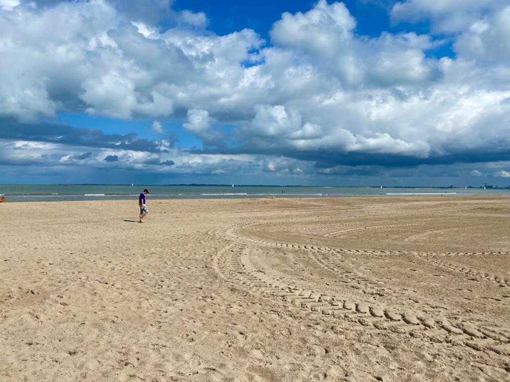Natuurhuis Zeeuwse Rust Voor Wandelingen Aan Zee, Fietstochten In Natuur En Culinair Genieten IJzendijke Exterior foto