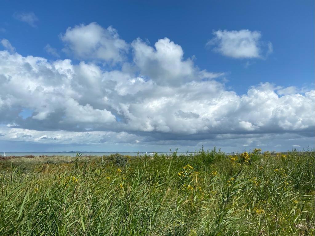 Natuurhuis Zeeuwse Rust Voor Wandelingen Aan Zee, Fietstochten In Natuur En Culinair Genieten IJzendijke Exterior foto