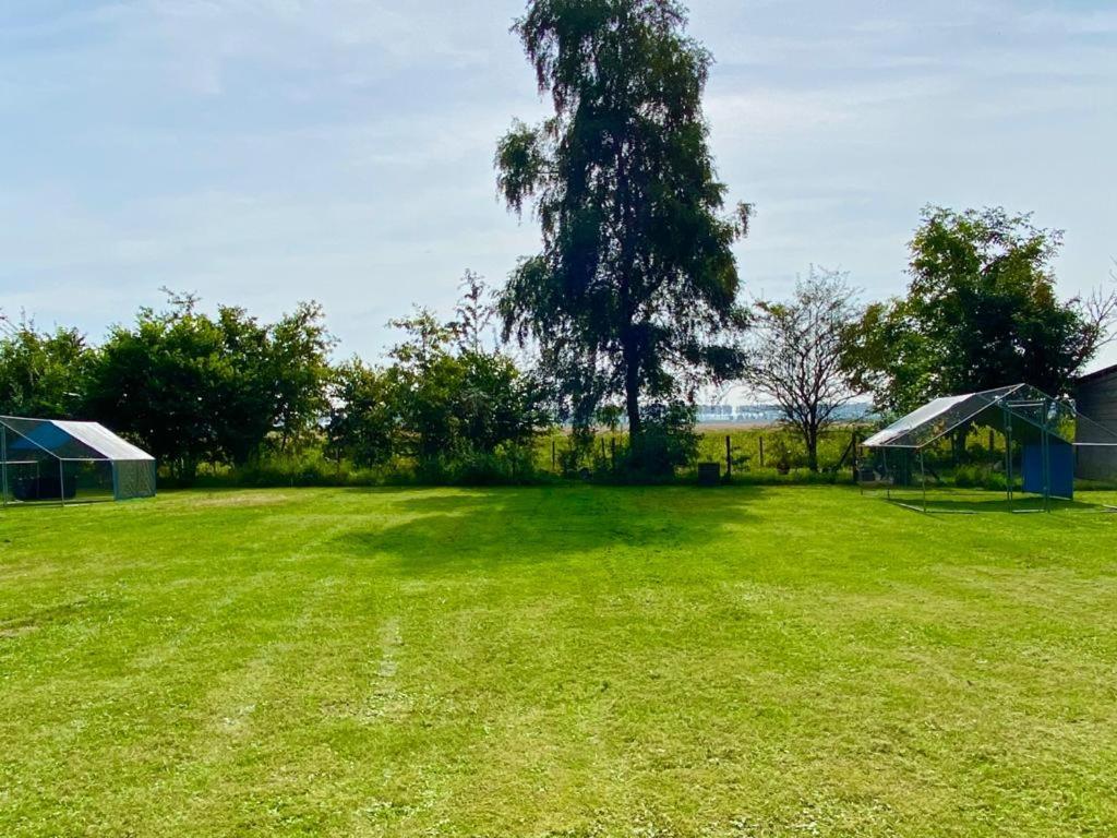 Natuurhuis Zeeuwse Rust Voor Wandelingen Aan Zee, Fietstochten In Natuur En Culinair Genieten IJzendijke Exterior foto