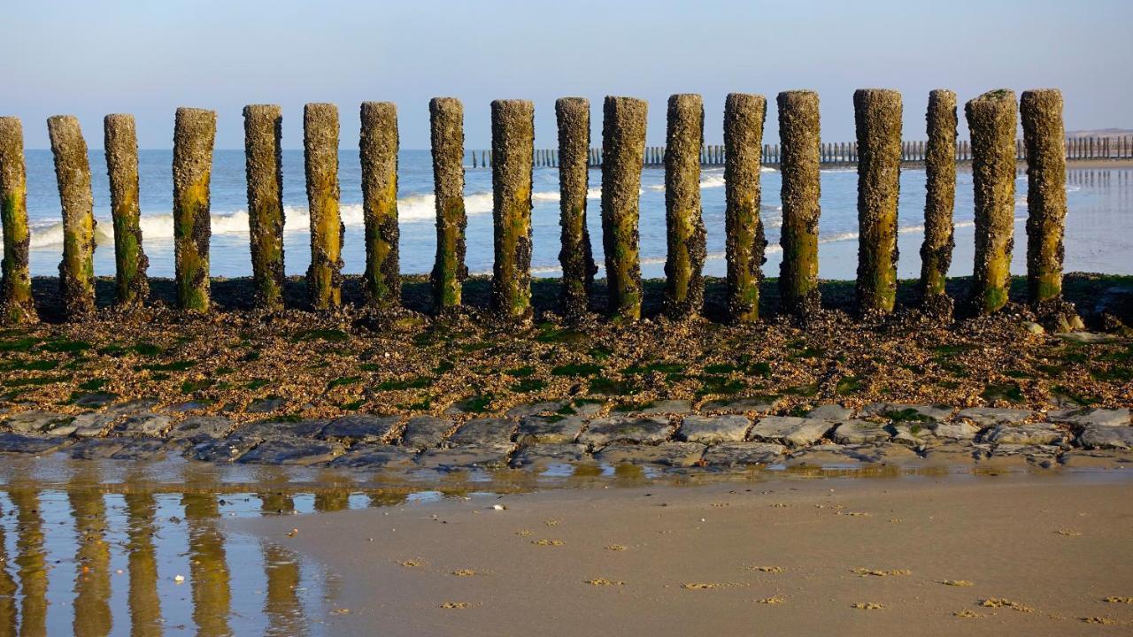 Natuurhuis Zeeuwse Rust Voor Wandelingen Aan Zee, Fietstochten In Natuur En Culinair Genieten IJzendijke Exterior foto